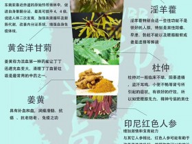 NBB男士修护膏的功效是否如广告所示?真相太神奇了!