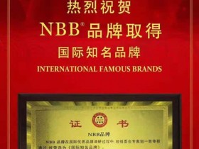 热烈祝贺NBB荣获国际知名品牌